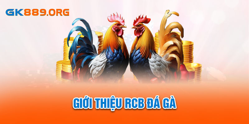 Giới thiệu RCB đá gà